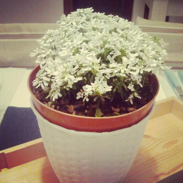 Holiday Home Bergamo 1 객실 사진